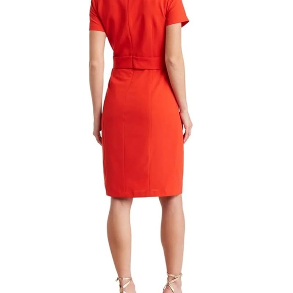 Focus by Shani Womens Poppy Modele Dress Size 6 NWT - Picture 2 of 10